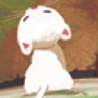 课文插图里的小猫